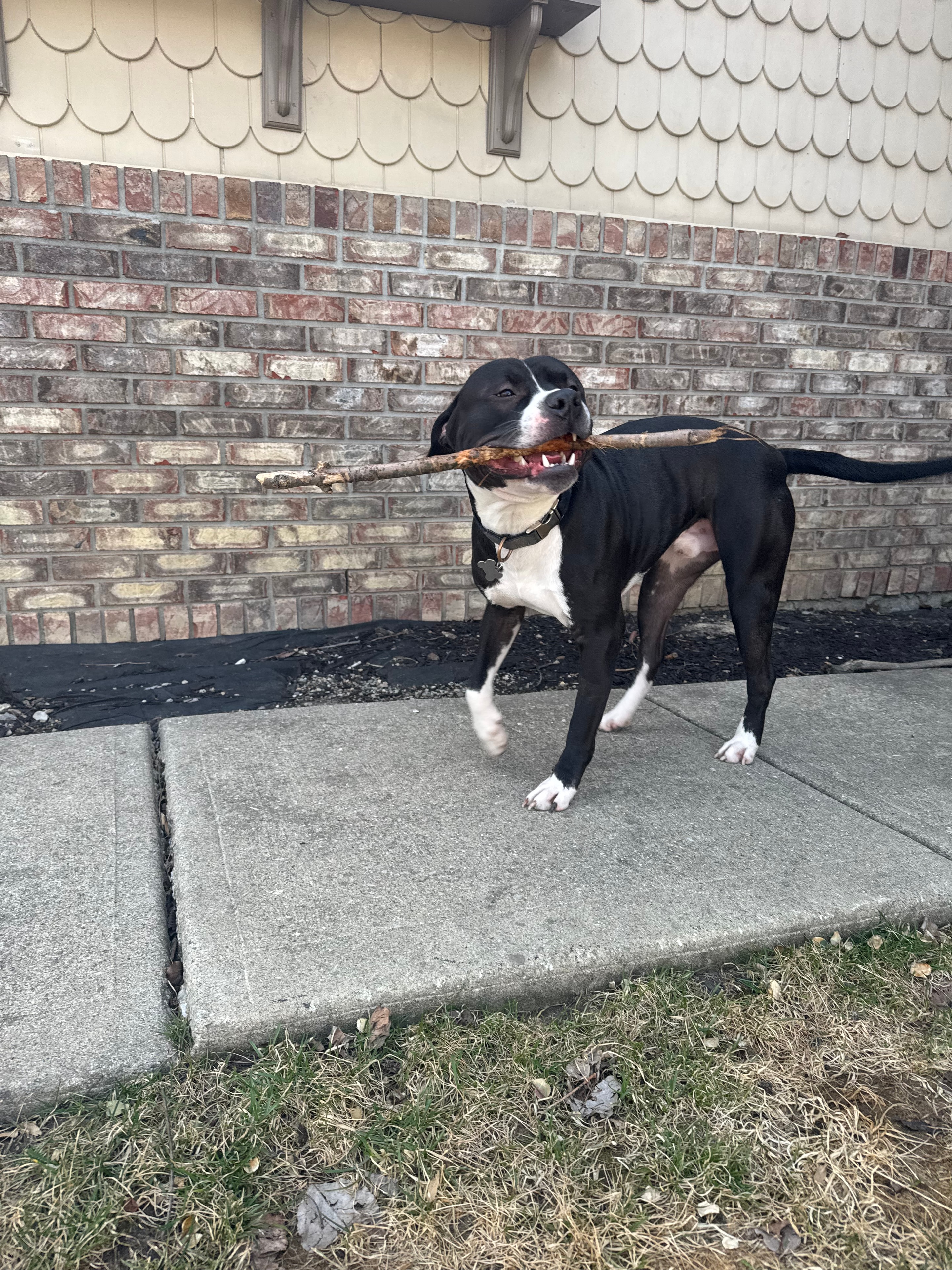 Oakley, one of Taylor's regulars